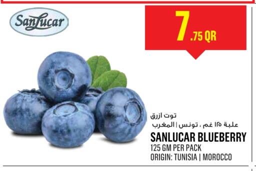 Blueberry BlueBerry from Tunisia Morocco available at مونوبريكس in قطر - الشمال