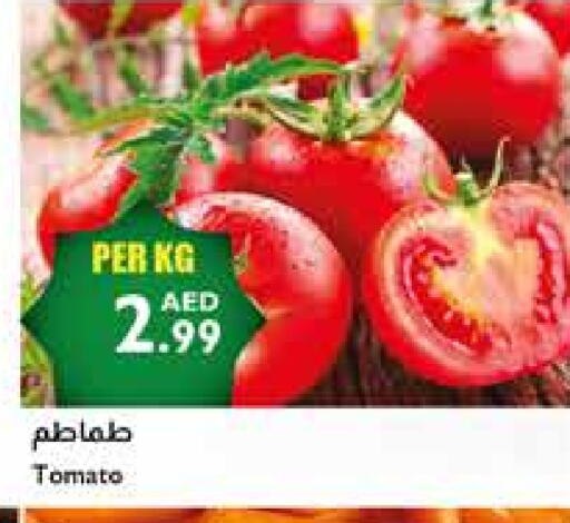 Tomato available at Istanbul Supermarket in UAE - Dubai