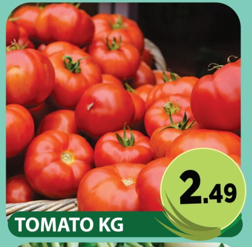 Tomato available at Fresh Spike Supermarket in UAE - Dubai