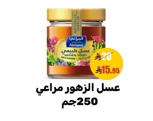 المراعي عسل available at سنام سوبرماركت in مملكة العربية السعودية, السعودية, سعودية - مكة المكرمة