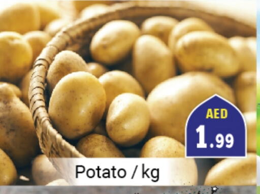 Potato available at Souk Al Mubarak Hypermarket in UAE - Sharjah / Ajman