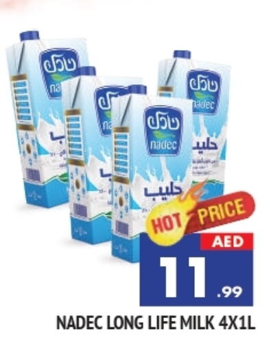 NADEC Long Life / UHT Milk available at AL MADINA in UAE - Sharjah / Ajman