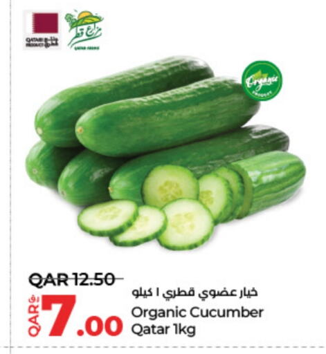 Cucumber from Qatar available at LuLu Hypermarket in Qatar - Doha