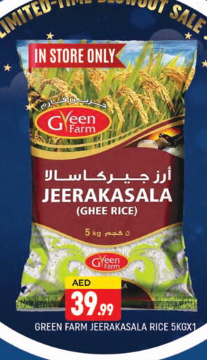 Jeerakasala Rice available at AL MADINA (Dubai) in UAE - Dubai