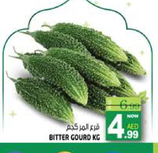 Gourd available at Hashim Hypermarket in UAE - Sharjah / Ajman