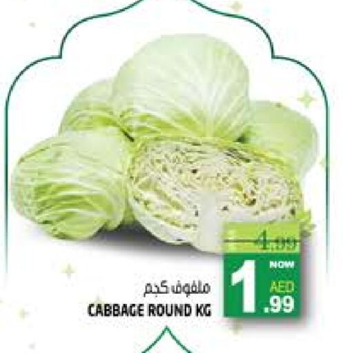 Cabbage available at Hashim Hypermarket in UAE - Sharjah / Ajman