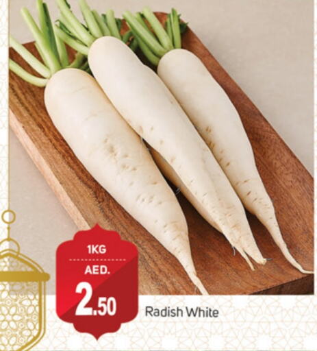 Radish available at سوق طلال in الإمارات العربية المتحدة , الامارات - دبي