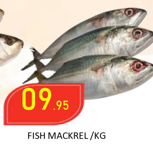 available at ROYAL GULF HYPERMARKET LLC in UAE - Abu Dhabi