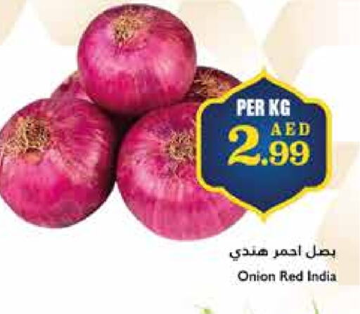 Onion from India available at Trolleys Supermarket in UAE - Dubai