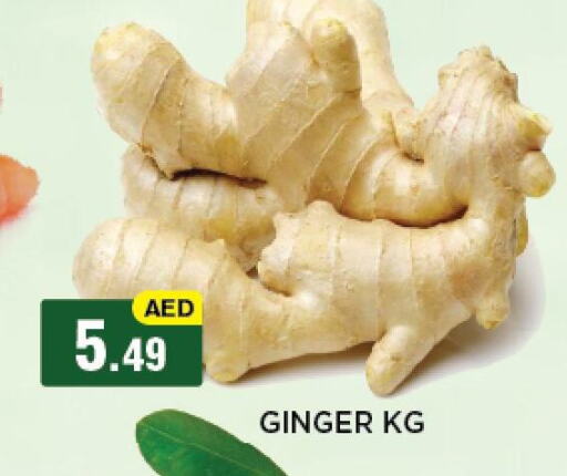 Ginger available at أزهر المدينة هايبرماركت in الإمارات العربية المتحدة , الامارات - أبو ظبي