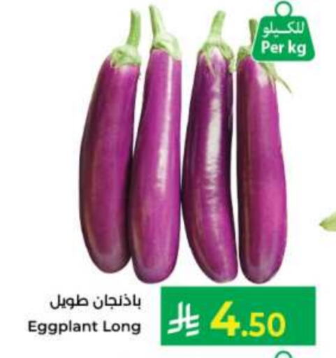 Eggplant available at كبايان هايبرماركت in مملكة العربية السعودية, السعودية, سعودية - جدة