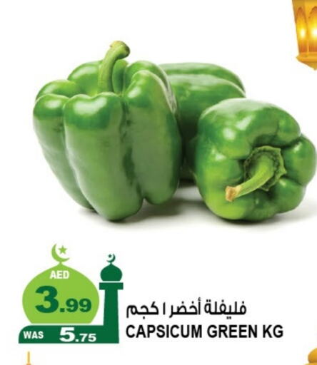 Chilli / Capsicum available at Hashim Hypermarket in UAE - Sharjah / Ajman