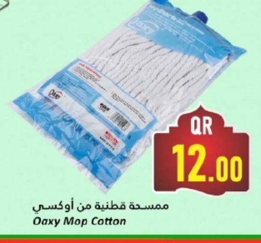 Cleaning Aid available at Dana Hypermarket in Qatar - Al Shamal