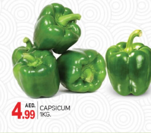 Chilli / Capsicum available at TALAL MARKET in UAE - Dubai