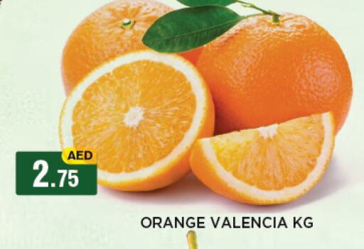 Orange available at أزهر المدينة هايبرماركت in الإمارات العربية المتحدة , الامارات - أبو ظبي