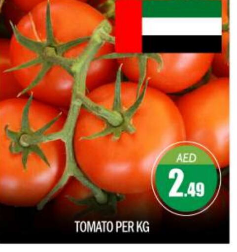 Tomato available at BIGmart in UAE - Abu Dhabi