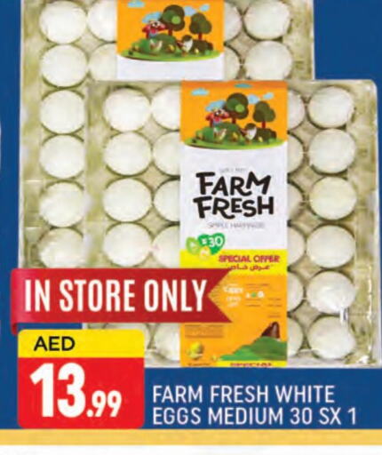 available at AL MADINA (Dubai) in UAE - Dubai