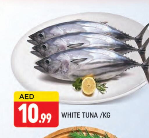 Tuna available at AL MADINA (Dubai) in UAE - Dubai