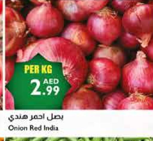 Onion from India available at Istanbul Supermarket in UAE - Sharjah / Ajman