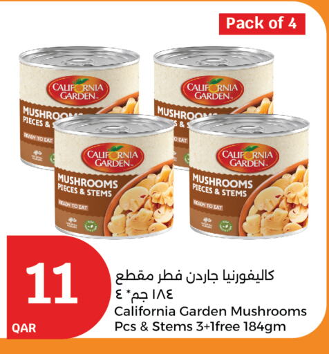 CALIFORNIA GARDEN available at City Hypermarket in Qatar - Umm Salal