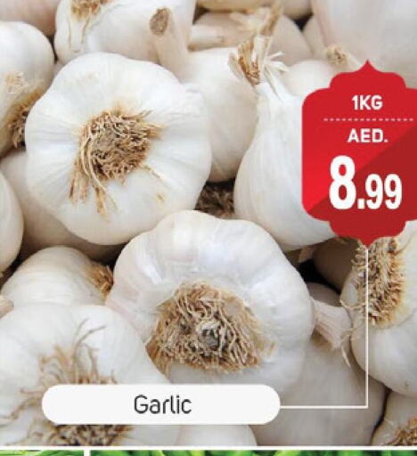 Garlic available at TALAL MARKET in UAE - Dubai