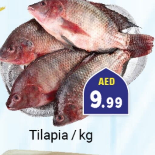 available at Souk Al Mubarak Hypermarket in UAE - Sharjah / Ajman