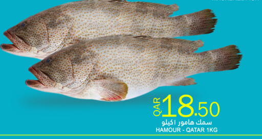 available at Food Palace Hypermarket in Qatar - Umm Salal