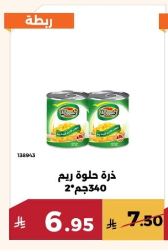 available at حدائق الفرات in مملكة العربية السعودية, السعودية, سعودية - مكة المكرمة