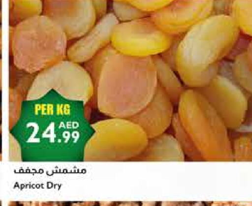 Apricot available at Istanbul Supermarket in UAE - Ras al Khaimah