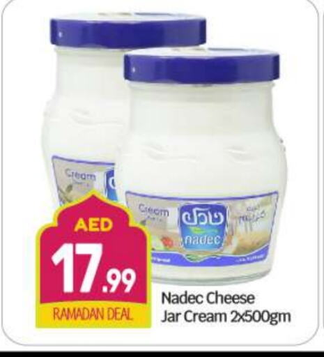 NADEC Cream Cheese available at BIGmart in UAE - Abu Dhabi