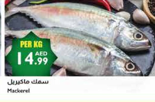 available at Istanbul Supermarket in UAE - Ras al Khaimah