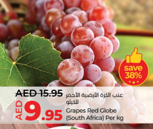 عنب from South Africa available at لولو هايبرماركت in الإمارات العربية المتحدة , الامارات - ٱلْفُجَيْرَة‎