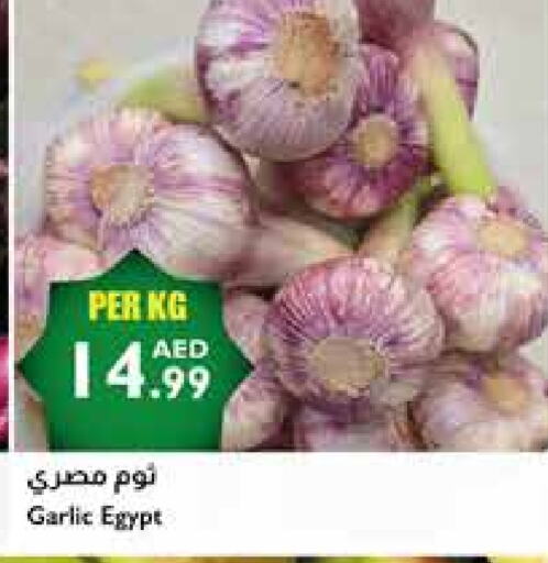 Garlic from Egypt available at Istanbul Supermarket in UAE - Abu Dhabi