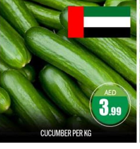 Cucumber available at BIGmart in UAE - Abu Dhabi