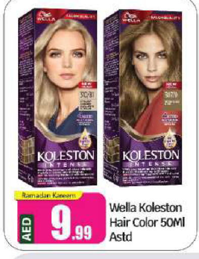 WELLA Hair Colour available at BIGmart in UAE - Abu Dhabi