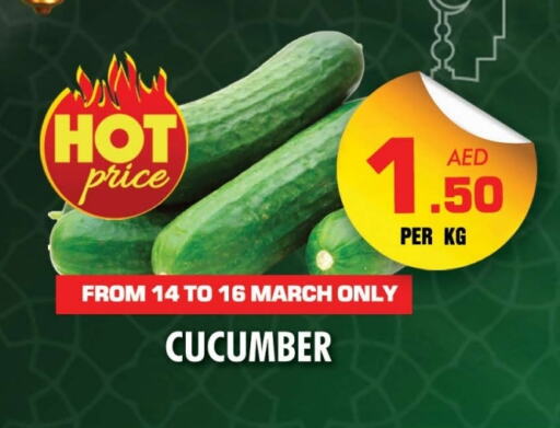 Cucumber available at NIGHT TO NIGHT DEPARTMENT STORE in UAE - Sharjah / Ajman