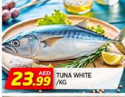 Tuna - Canned available at AL MADINA in UAE - Sharjah / Ajman