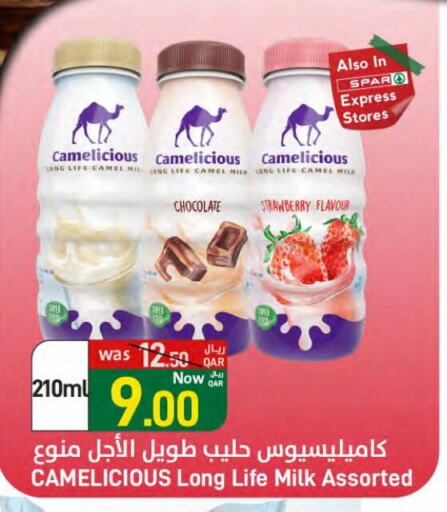 Long Life / UHT Milk available at SPAR in Qatar - Doha