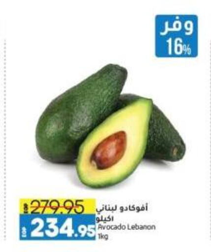 Avacado from Lebanon available at Lulu Hypermarket  in Egypt - Cairo