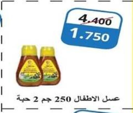 Honey available at Eshbelia Co-operative Society in Kuwait - Kuwait City