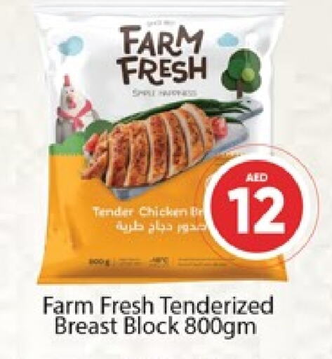 FARM FRESH Chicken Breast available at Al Madina  in UAE - Dubai