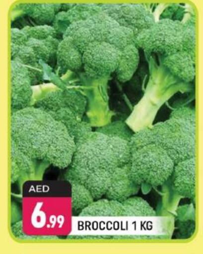 Broccoli available at Shaklan  in UAE - Dubai