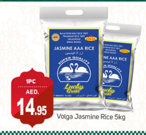 VOLGA Jasmine Rice available at TALAL MARKET in UAE - Sharjah / Ajman