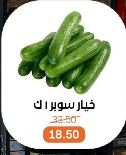 خيار available at بيت الجملة in Egypt - القاهرة