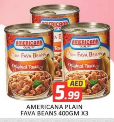 AMERICANA Fava Beans available at Mango Hypermarket LLC in UAE - Dubai