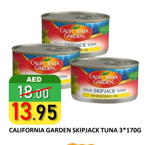 Tuna - Canned available at ROYAL GULF HYPERMARKET LLC in UAE - Abu Dhabi