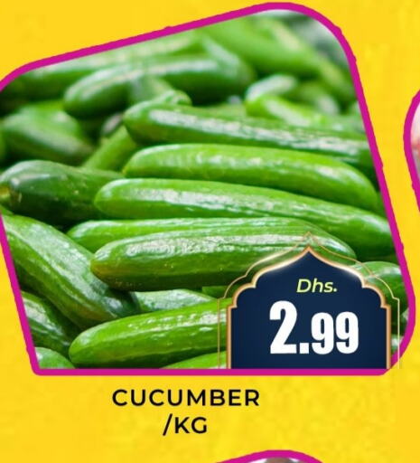 Cucumber available at Meena Al Madina Hypermarket  in UAE - Sharjah / Ajman