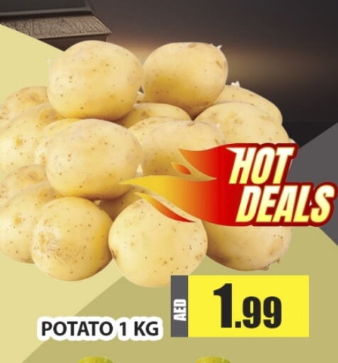 Potato available at Al Madina  in UAE - Dubai