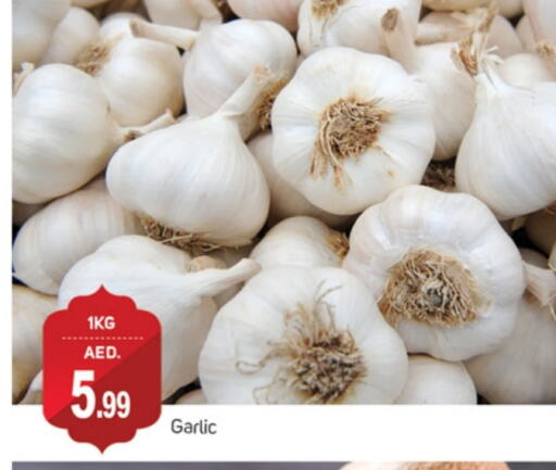 Garlic available at TALAL MARKET in UAE - Dubai