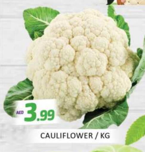 Cauliflower available at Mango Hypermarket LLC in UAE - Dubai